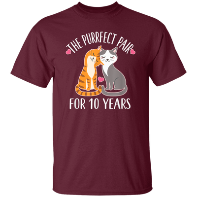 10th Anniversary Gift Cute Couples 10 Years