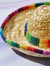 Colorful Pet Straw Hat: Festival Sun Protection with Adjustable Chin Strap