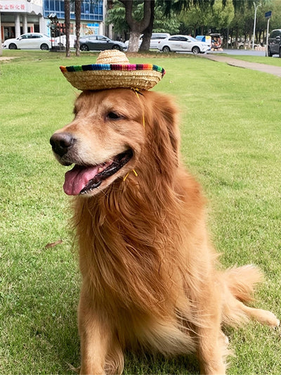 Colorful Pet Straw Hat: Festival Sun Protection with Adjustable Chin Strap