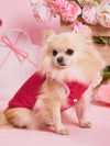 Love Your Pup in Style: Valentine's Day Heart Pattern Pet Jacket