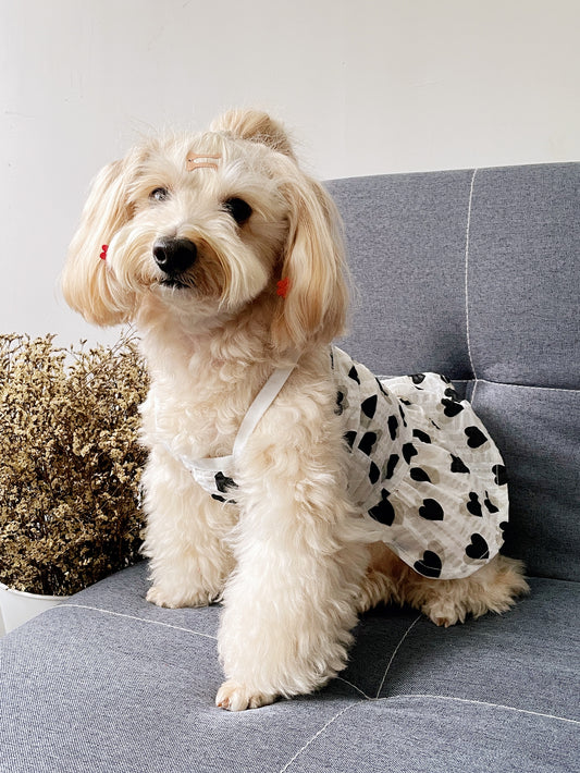 This Heartfelt Pet Fashion dress is the perfect way to show your furry friend some love this Valentine's Day. The charming heart print and ruffle trim add a touch of sweetness, while the high-quality material ensures maximum comfort for your pet. Elevate their style and express your affection with this delightful dress.