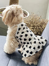 Heartfelt Pet Fashion: Valentine's Day Heart Print Ruffle Trim Dress