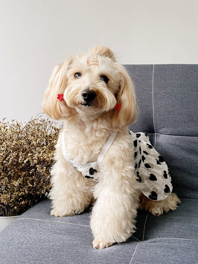 Heartfelt Pet Fashion: Valentine's Day Heart Print Ruffle Trim Dress