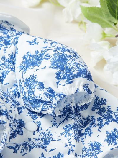 Blue White Porcelain Pet Dress: The Perfect Outfit for Your Pup!