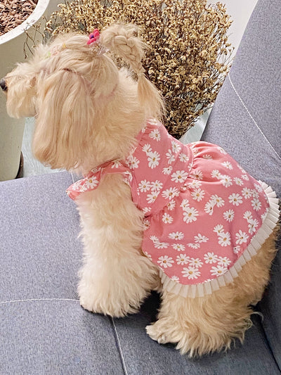 Beautiful Bloom Pet Dress - Enhance Your Furry Friend's Wardrobe!