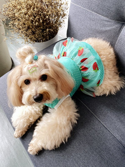 Rural Style Green Polkadot Strawberry Lace Dress for Pets - Adorable Sleeveless Outfit for Dogs and Cats