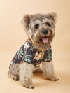 Tropical Vibes Pet Shirt: Beach Pineapple Coconut Tree Print for Small and Medium Pets