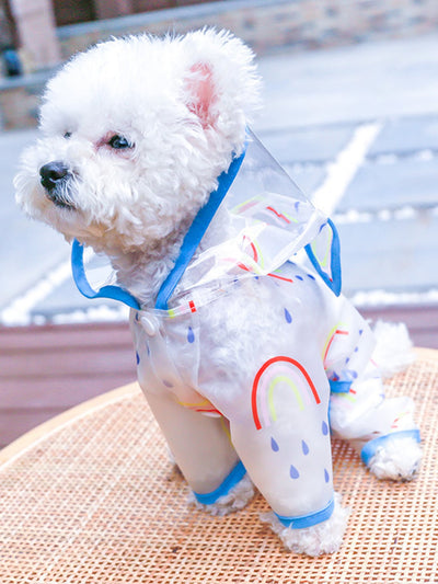 Colorful Clouds: Rainbow Print Pet Raincoat