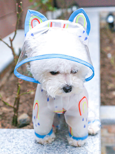 Colorful Clouds: Rainbow Print Pet Raincoat