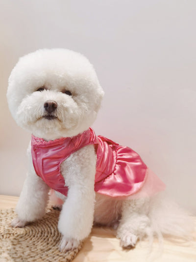 Sweet Bow Bliss: Adorable Pet Dress for Your Furry Friend