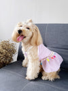 Pamper Your Paws: Pet Adorable Vacation Style Pink Striped Bubble Checkered Jumpsuit