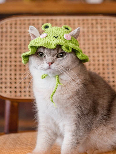 Funky Frog Knit Pet Hat: Keep Your Furry Friend Stylish and Warm!