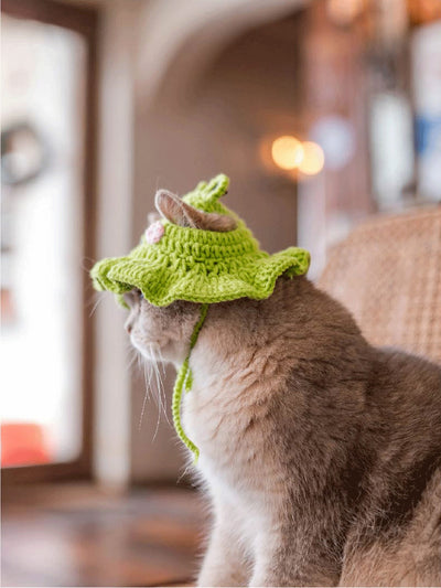 Funky Frog Knit Pet Hat: Keep Your Furry Friend Stylish and Warm!