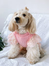 Pet Knitted Twisted Sweater Dress: Keep Your Furry Friends Cozy This Autumn and Winter