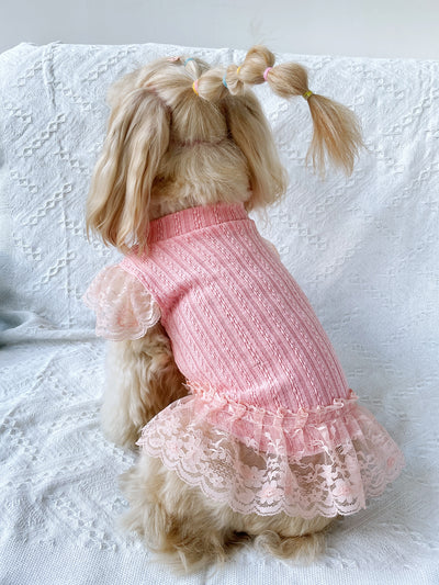 Pet Knitted Twisted Sweater Dress: Keep Your Furry Friends Cozy This Autumn and Winter