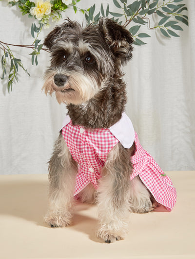 Insect Print Dog Dress: Spring and Summer Style for Teddy, Poodle, and Bichon Pets