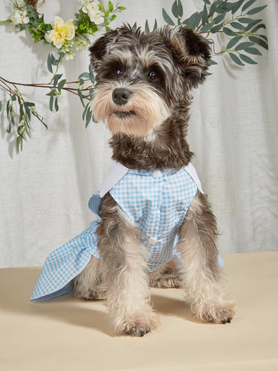 Insect Print Dog Dress: Spring and Summer Style for Teddy, Poodle, and Bichon Pets