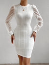 Chic Elegance: Contrast Mesh Lantern Sleeve Bodycon Dress