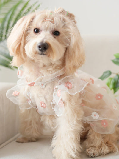 Chic and Stylish: Floral Embroidered Pet Dress