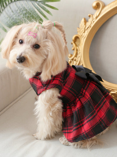 Chic and Stylish Plaid Print Pet Dress