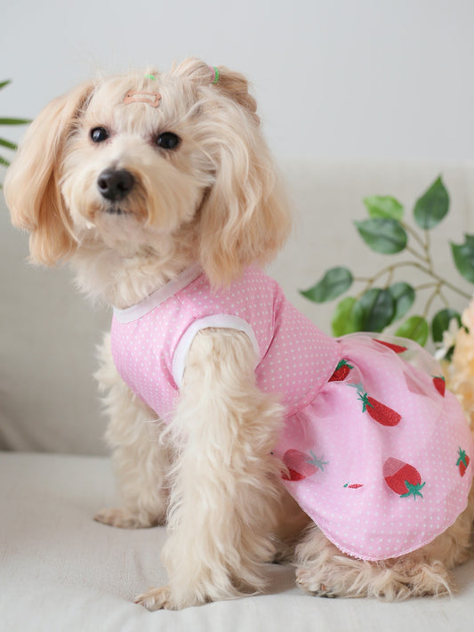 Get your furry friend the cutest outfit with our Adorable Strawberry Print Pet Dress. Made with high-quality materials, this dress will keep your pet comfortable and stylish. Perfect for any occasion, your pet will surely stand out with this playful and fun strawberry print design.