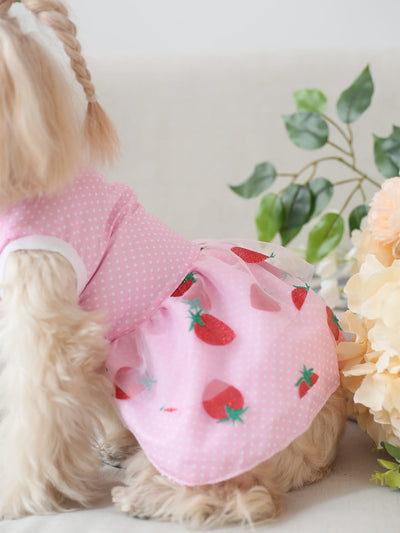 Adorable Strawberry Print Pet Dress for Your Furry Friend