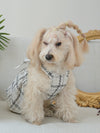 Adorable Plaid Pattern Bow Decor Pet Dress for Your Furry Friend