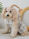 Adorable Plaid Pattern Bow Decor Pet Dress for Your Furry Friend