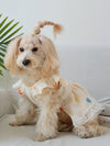 Sweetheart Style: Heart Print Ruffle Trim Pet Dress for Your Pup this Summer