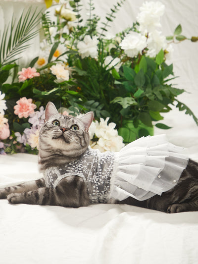 Elegant Lace Embroidered Pet Dress for Wedding Paw-fection