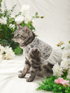 Elegant Lace Embroidered Pet Dress for Wedding Paw-fection