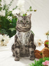 Elegant Lace Embroidered Pet Dress for Wedding Paw-fection