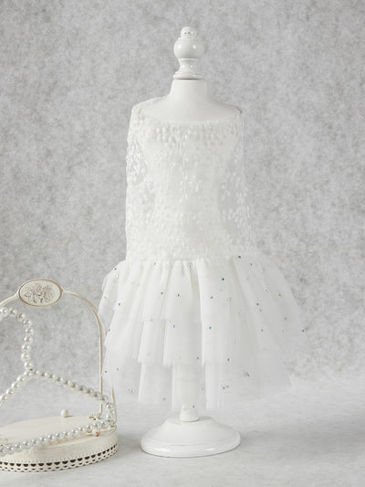 Elegant Lace Embroidered Pet Dress for Wedding Paw-fection