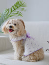 Heartfelt Happiness: Pet Dress for Valentine's Day