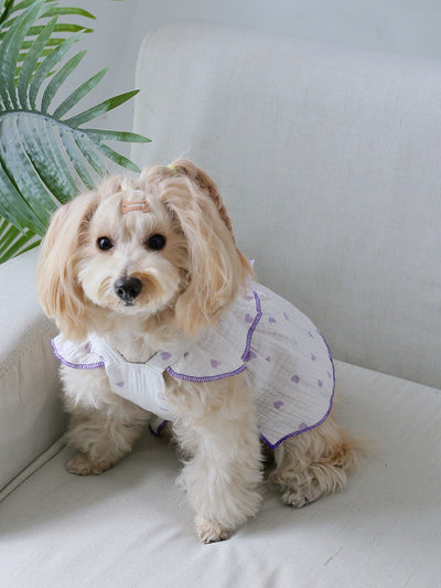 Heartfelt Happiness: Pet Dress for Valentine's Day