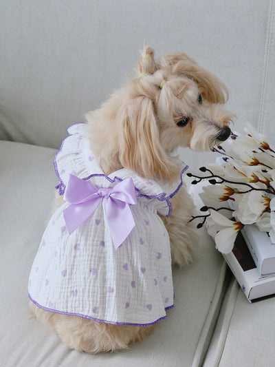 Heartfelt Happiness: Pet Dress for Valentine's Day