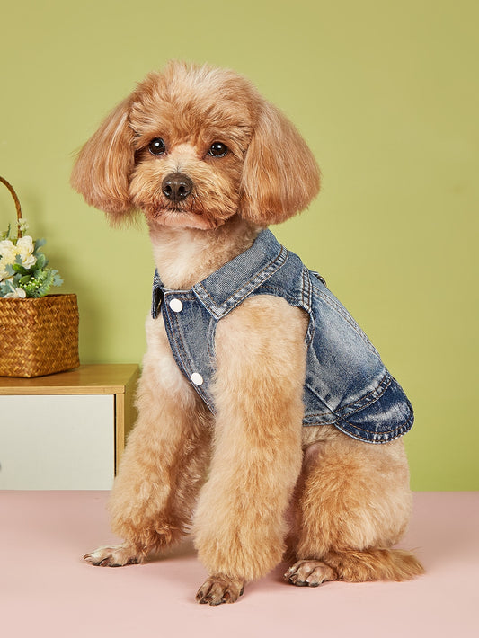 Stylish Spring Pet Jacket for Cats and Dogs