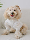 Shine Bright on Your Big Day: Star Decor Pet Tee for Wedding Cats and Dogs