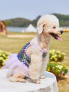 Splash into Summer with the Fish Scale Pet Dress for Cats and Dogs