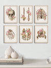 Discover the beauty and intricacy of the human body with our Vintage Anatomy Art 6-Piece Floral Skeletal Bones Poster Set. Created with a vintage touch, this set is perfect for any medical office or home decor. Each poster features detailed illustrations of different skeletal bones, providing both educational and aesthetic benefits. Complete your medical wall decor with this unique and informative set.