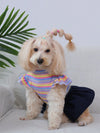 Cozy Corduroy Pet Clothes Set: Perfect for Cats and Dogs in Spring and Autumn