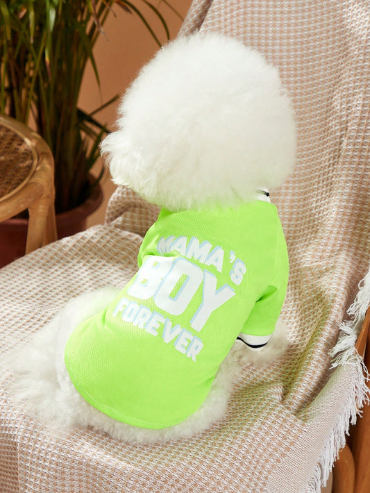 Summer Slogan Graphic Pet Tee: Stylish Style for Your Fur Baby!