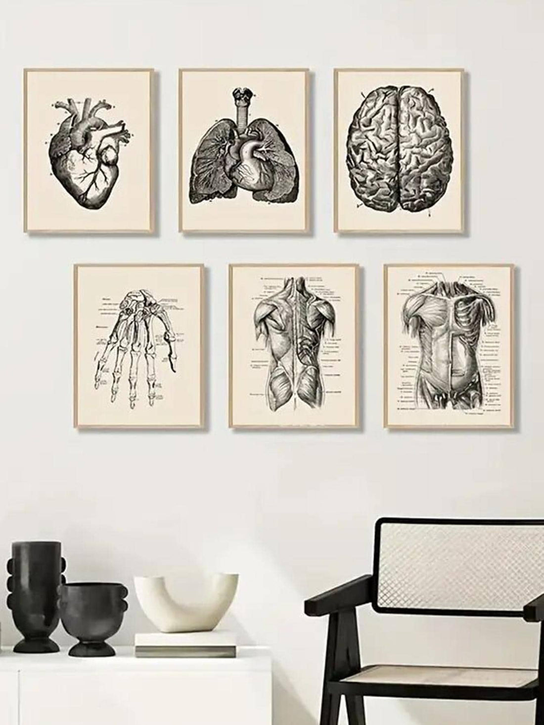 Enhance any clinic or home decor with our Vintage Anatomy Poster Collection. These 8pcs wall art paintings are perfect for medical professionals, students, or anyone with an interest in anatomy. With detailed and accurate illustrations, this collection adds a touch of scientific expertise to any space.