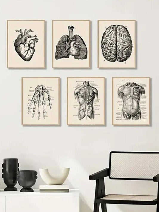 Vintage Anatomy Poster Collection: 8pcs Wall Art Paintings for Clinic and Home Decor