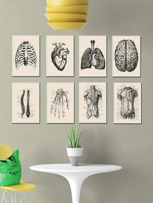 Enhance any clinic or home decor with our Vintage Anatomy Poster Collection. These 8pcs wall art paintings are perfect for medical professionals, students, or anyone with an interest in anatomy. With detailed and accurate illustrations, this collection adds a touch of scientific expertise to any space.