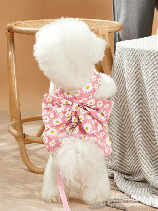 Springtime Style: Flower Print Dogs Dress with Leash for Outdoor Adventures