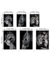 Modern and Aesthetic Lion Family Canvas Wall Art Set (3pcs) - Frameless Black Lion Family Poster for Bedroom Decor