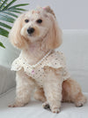 Paw-sitively Adorable: Polka Dot Pet Dress with Bow Detail for Dogs and Cats