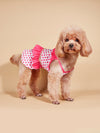 Pretty Polka Pup: Ruffled Dress for Your Furry Friend