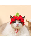 Adorable Frog Pattern Pet Cat Hat - Keep Your Furry Friend Stylish and Cozy!